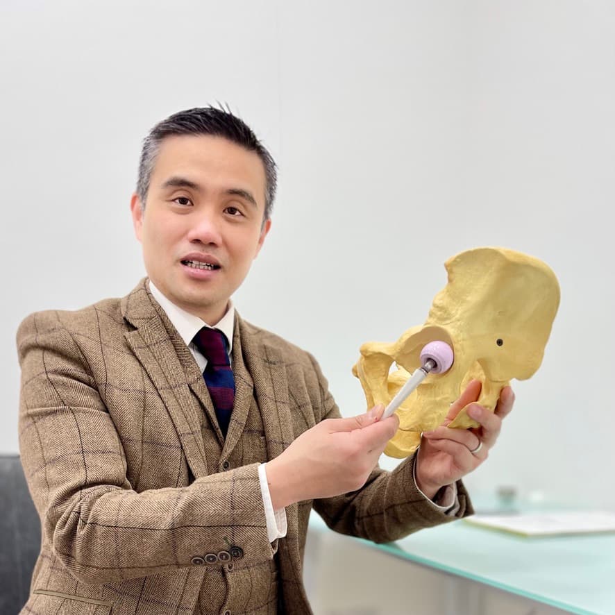 Professor Lee demonstrating joint anatomy with a pelvis model